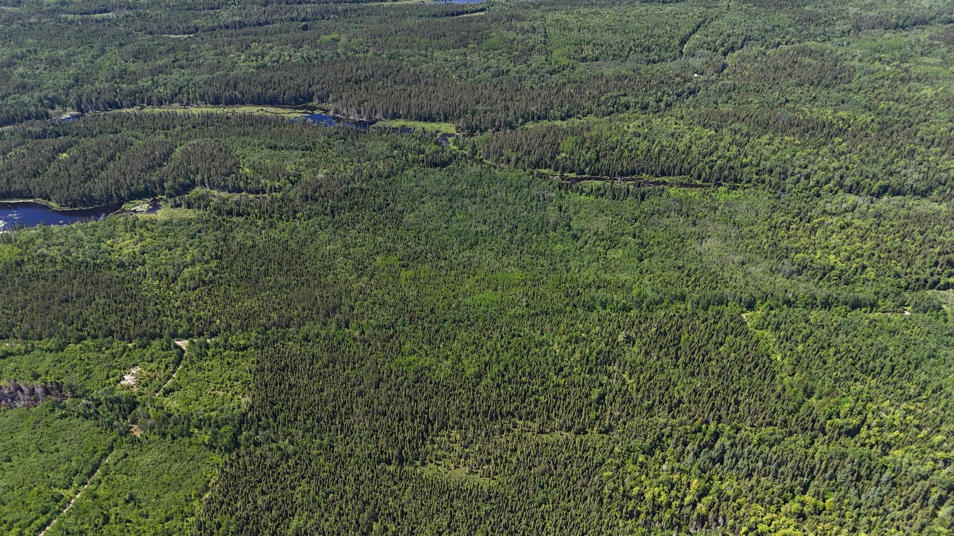 Terre à vendre - Widok 4
