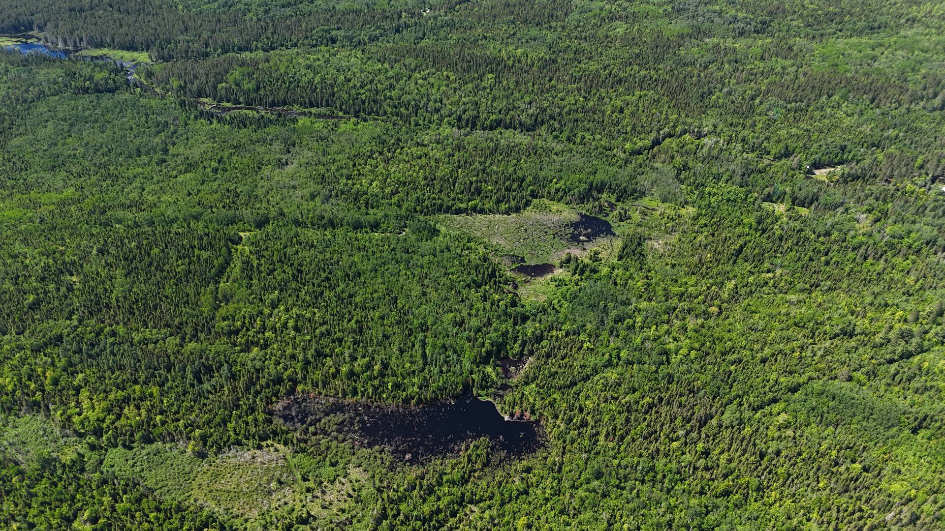 Terre à vendre - Widok 3
