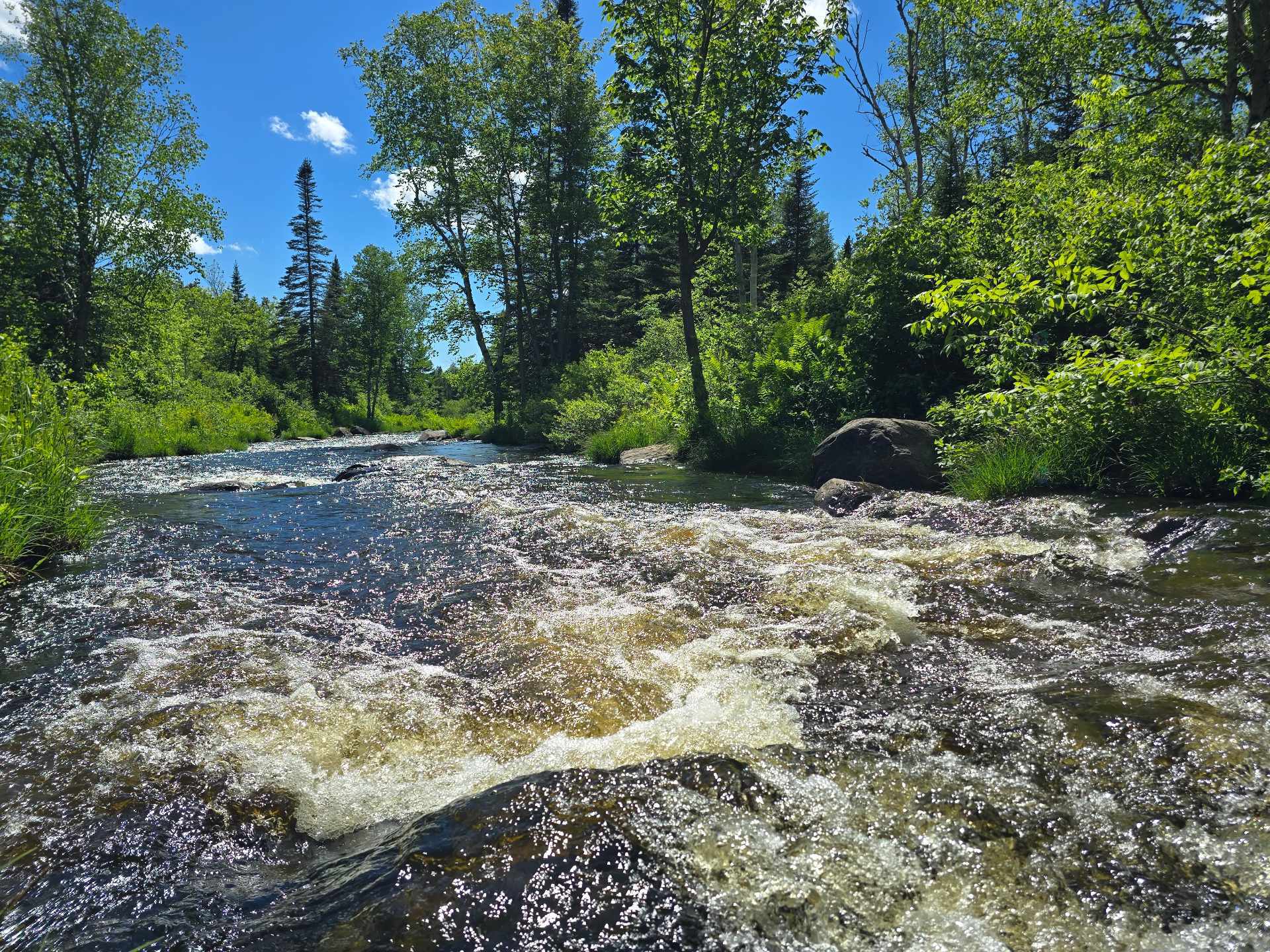 Terre à vendre - Widok 2