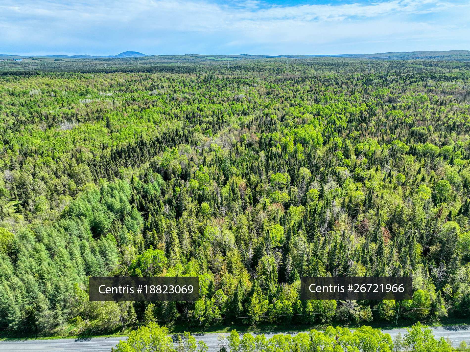 Talamh, 8000 m²