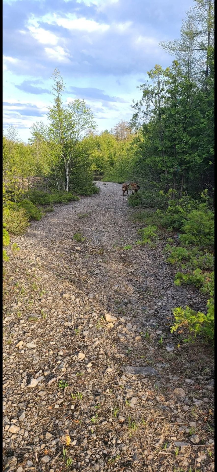 Terre à vendre - Vista 6