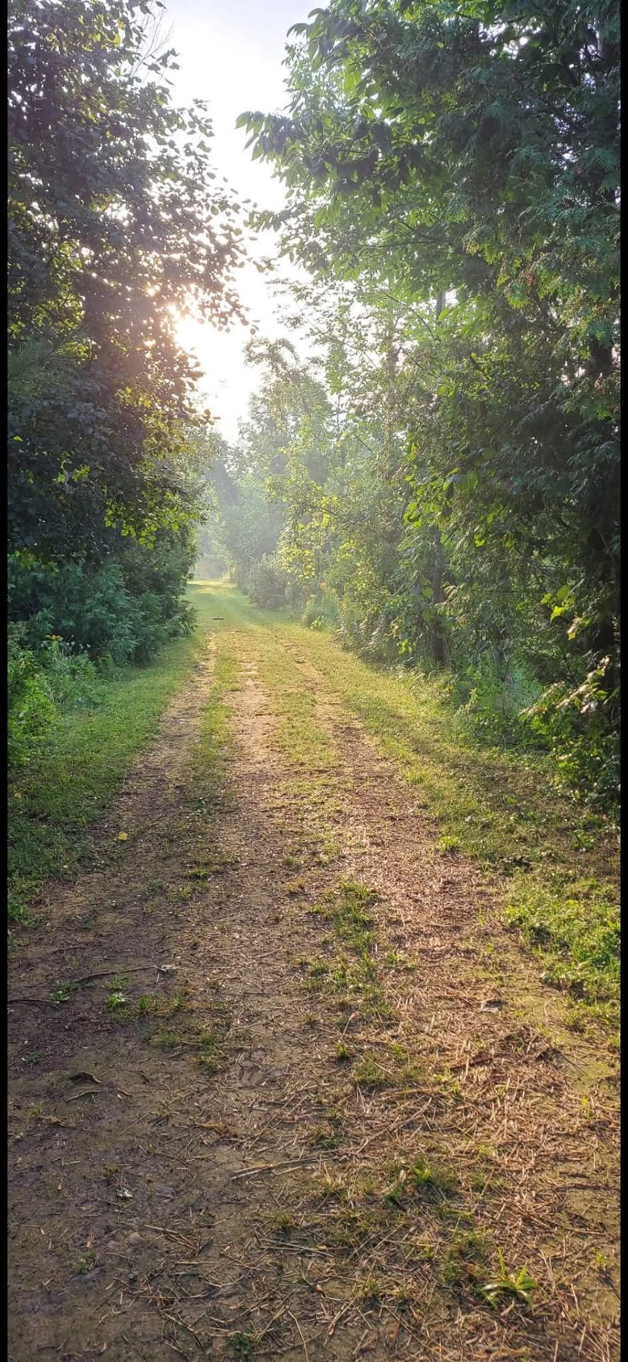 Terre à vendre - Altro