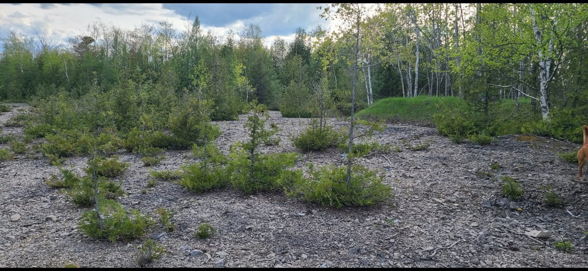Terre à vendre - Vista 4