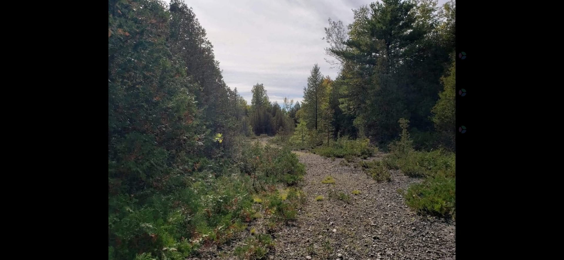 Terre à vendre - Vista 5